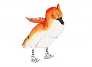 Strange Birds 13: Confident Carrot Top Cygnet