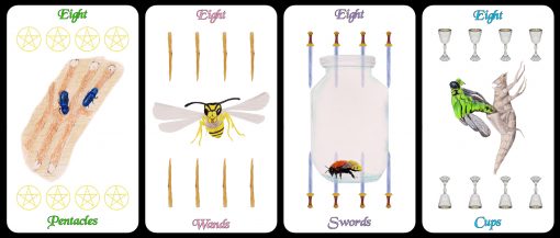 eights-cards-only-510x217.jpg