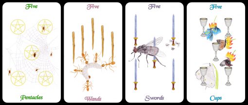 fives-cards-only-510x217.jpg
