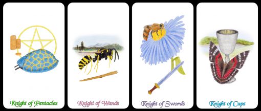 knights-cards-only2-510x217.jpg