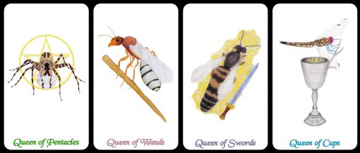 queens-cards-only-1-510x217.jpg