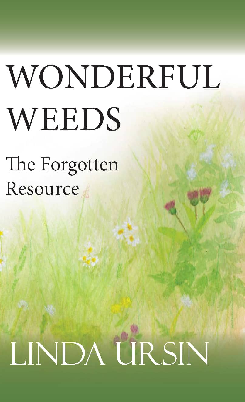 Wonderful Weeds – The Forgotten Resource