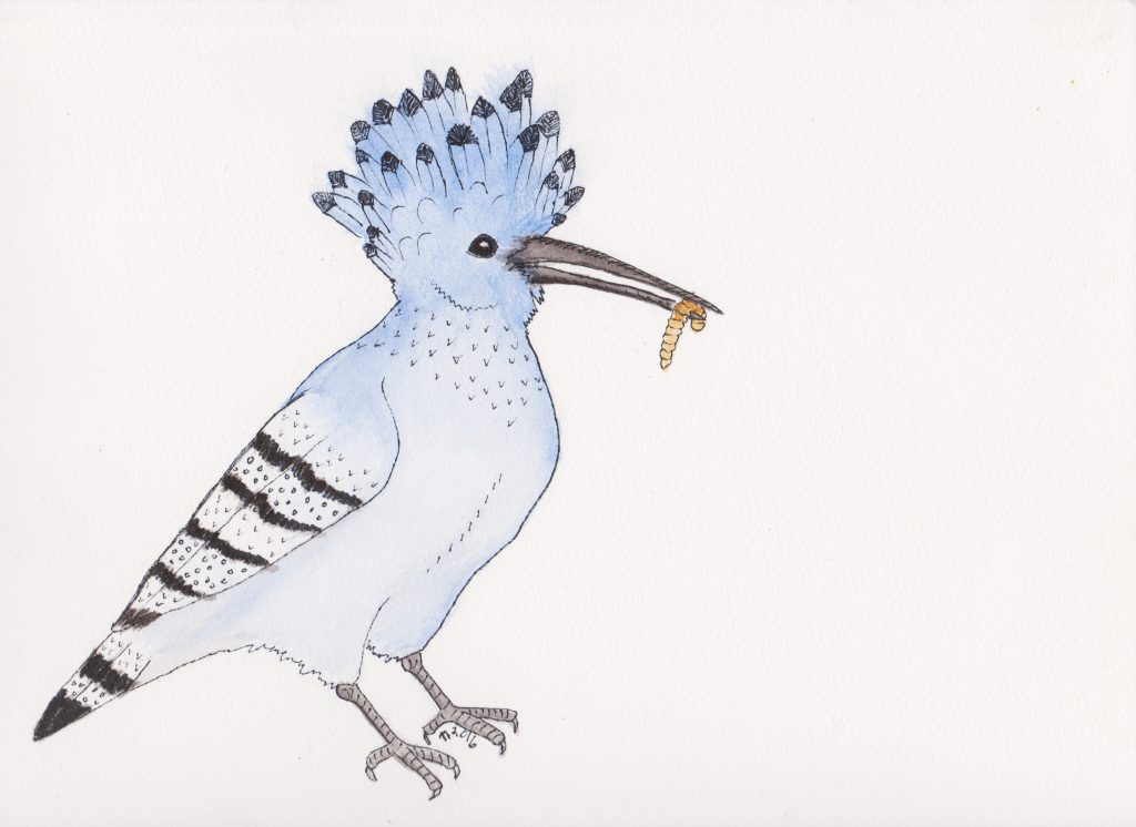 Strange Birds - 12 - Sulten Blå Hærfugl av Linda Ursin