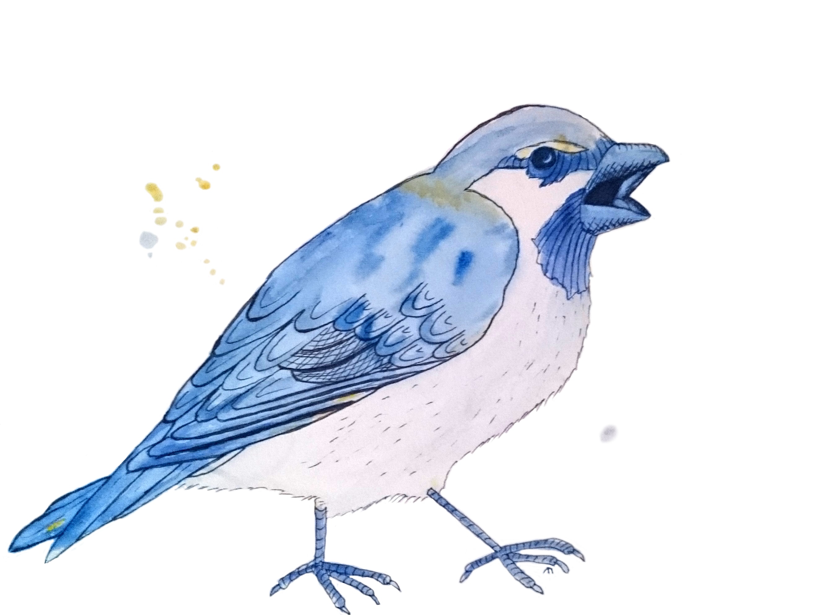 Strange Bird - 2 - Blå spurv med attityde