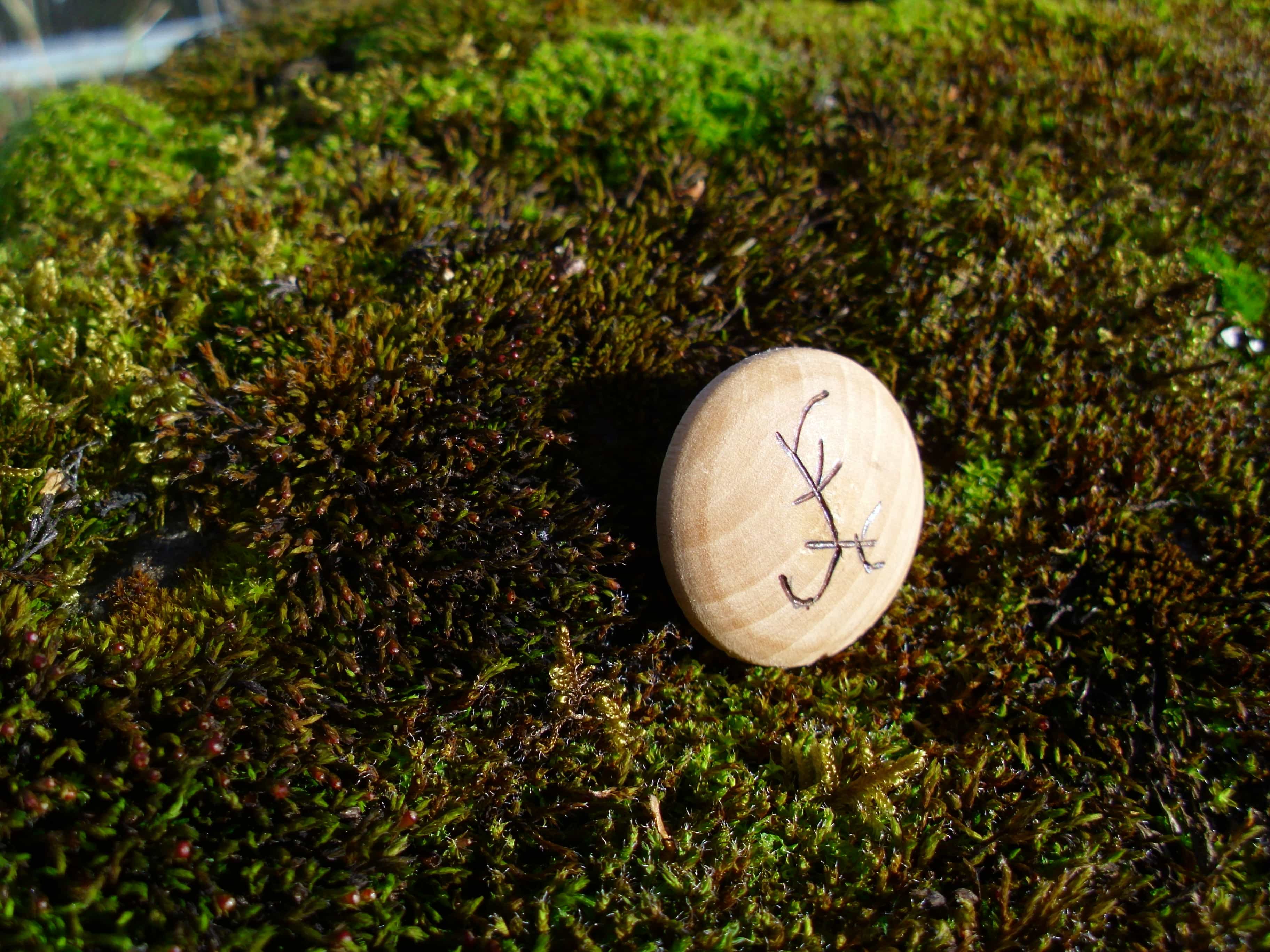 Dream Amulet - Pocket Rune to dream of a desired thing - Wooden Rune Amulet / Drømmeamulett