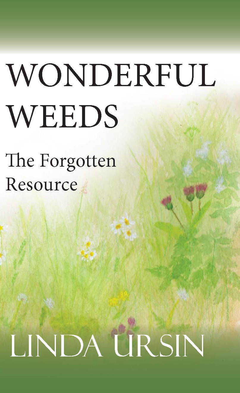 Wonderful Weeds – The Forgotten Resource by Linda Ursin / Utrolige Ugress - den glemte ressurs