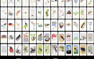 The Arthropoda Tarot Deck is Available