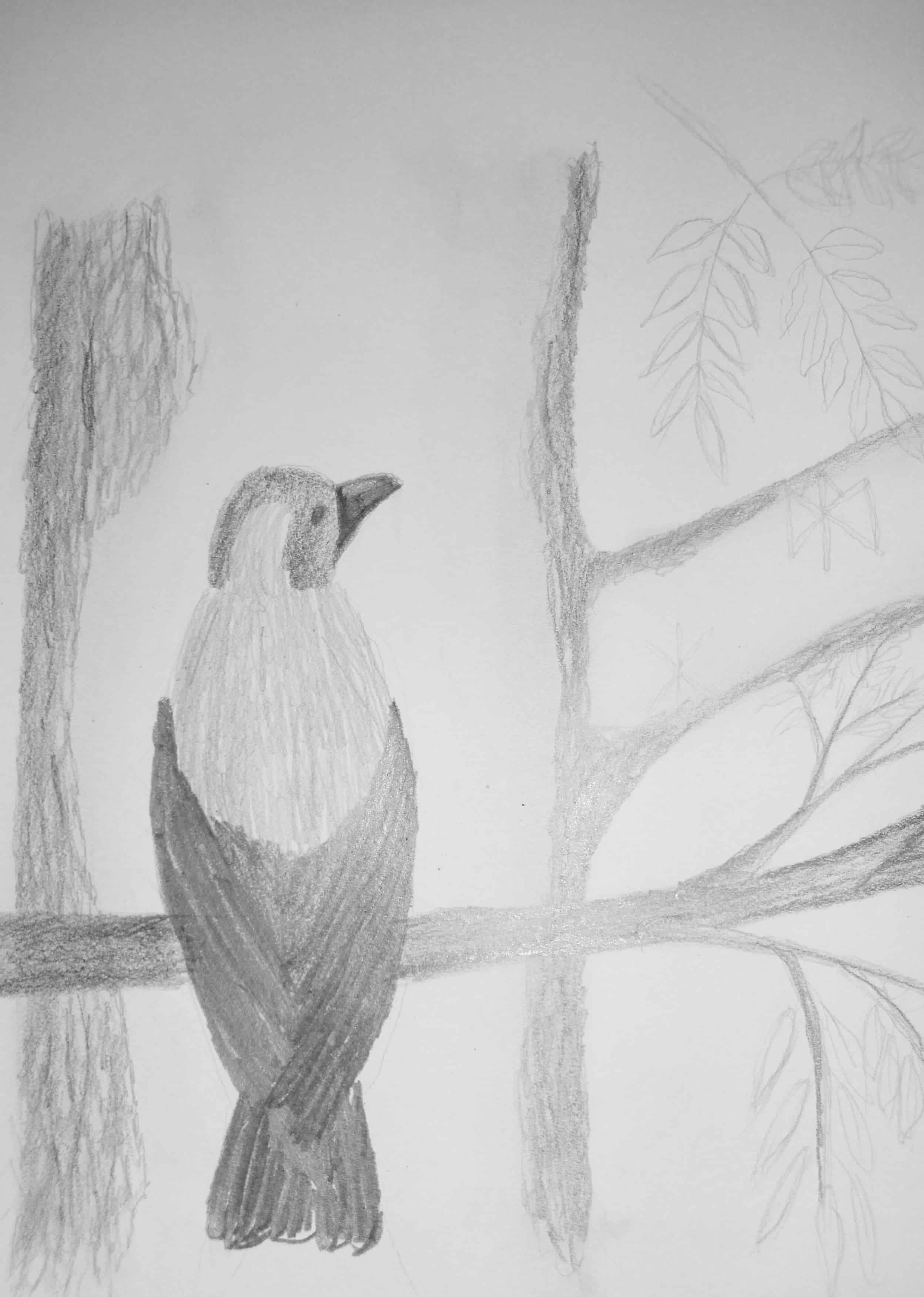 Crow in the World Tree