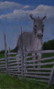 How stubborn are you? - A Donkey for Stubbornness
