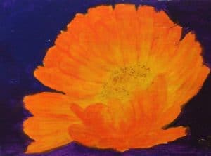 Marigold - Three small flowers