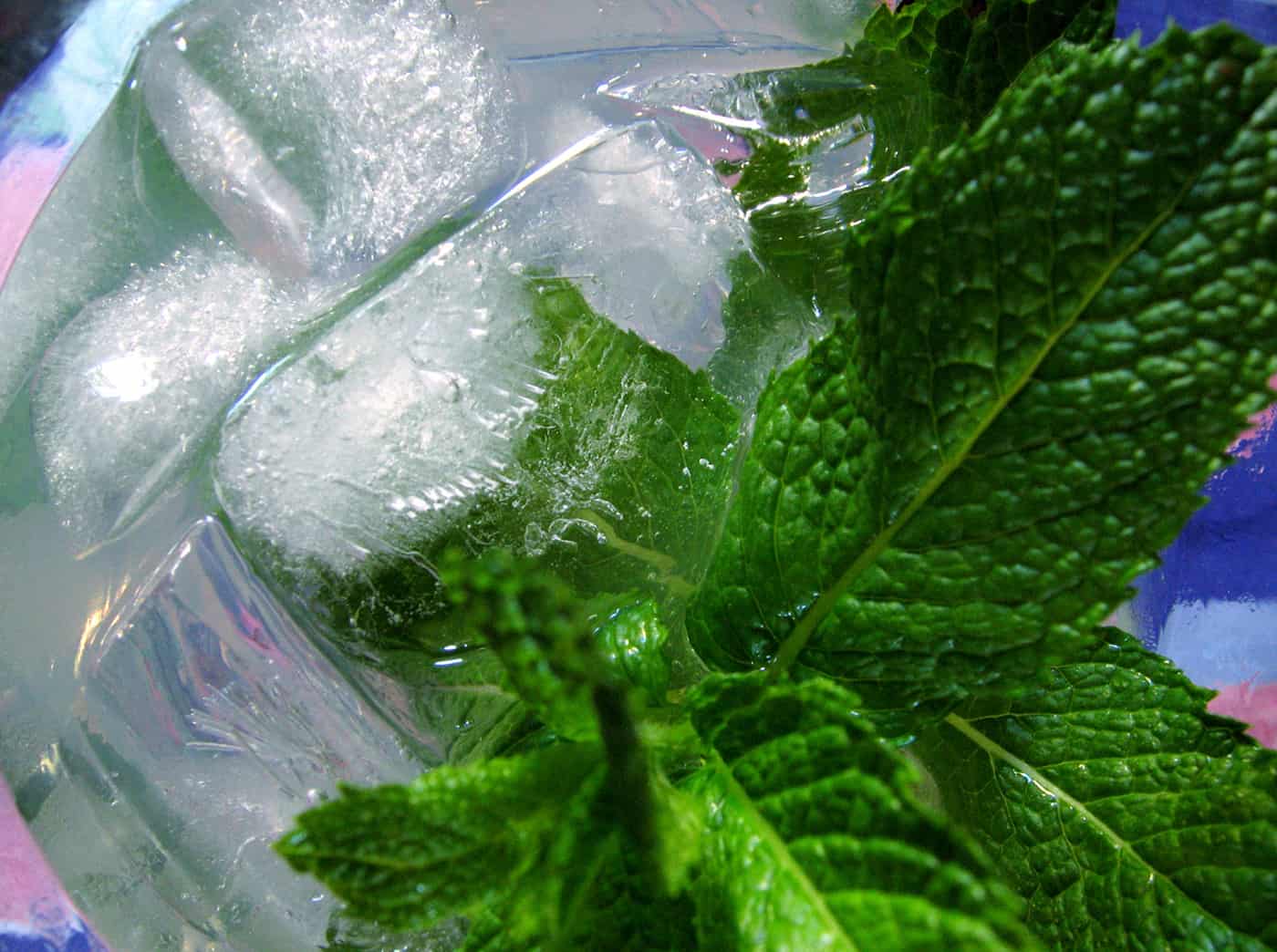 Herbal Drinks to Handle the Heat