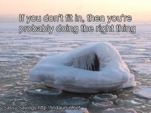 If you don't fit in, you're probably doing the right thing - Sassy Sayings - https://lindaursin.net
