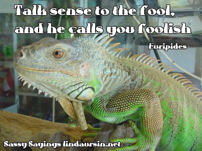Talk sense to the fool, and he calls you foolish - Euripides