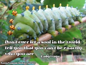 Don't ever let a soul tell you... Sassy Sayings, bug style https://lindaursin.net #quotes #sassysayings