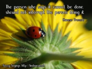 The person who says it cannot... Sassy Sayings, bug style https://lindaursin.net #quotes #sassysayings