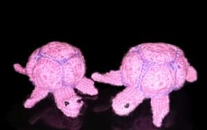 A pictue of the finished crocheted turtles in pink and purple