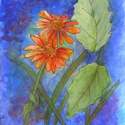 Floral Challenge - orange flowers in acrylics on paper