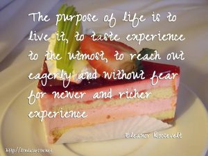 The purpose of life is to live it, to taste experience to the utmost, to reach out eagerly and without fear for newer and richer experience - Eleanor Roosevelt