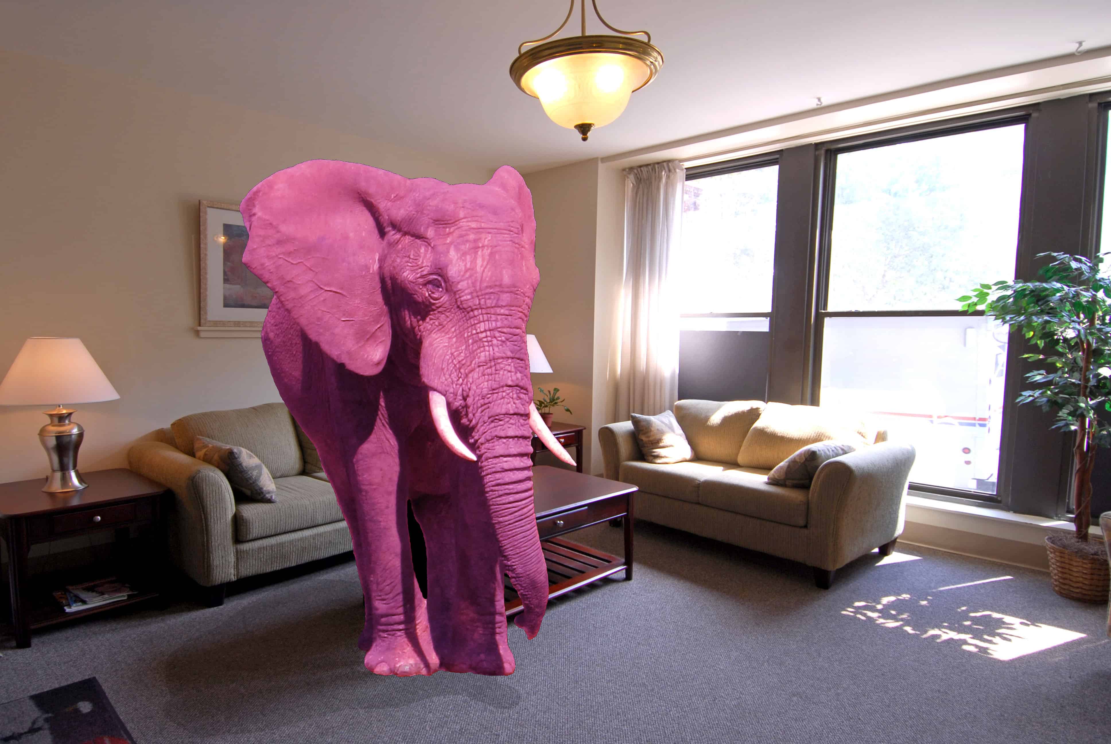 elephant themed living room