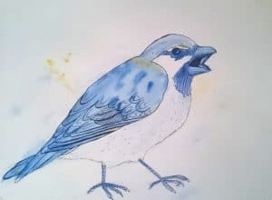 Strange Bird 2: Blue Sparrow with Attitude by Linda Ursin