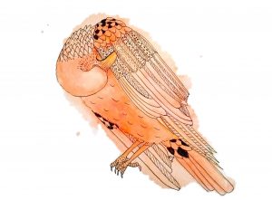 Strange Birds 5: Vain Raven in Orange by Linda Ursin