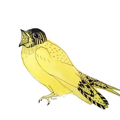 Strange Birds 6: Yellow Soprano Swallow by Linda Ursin