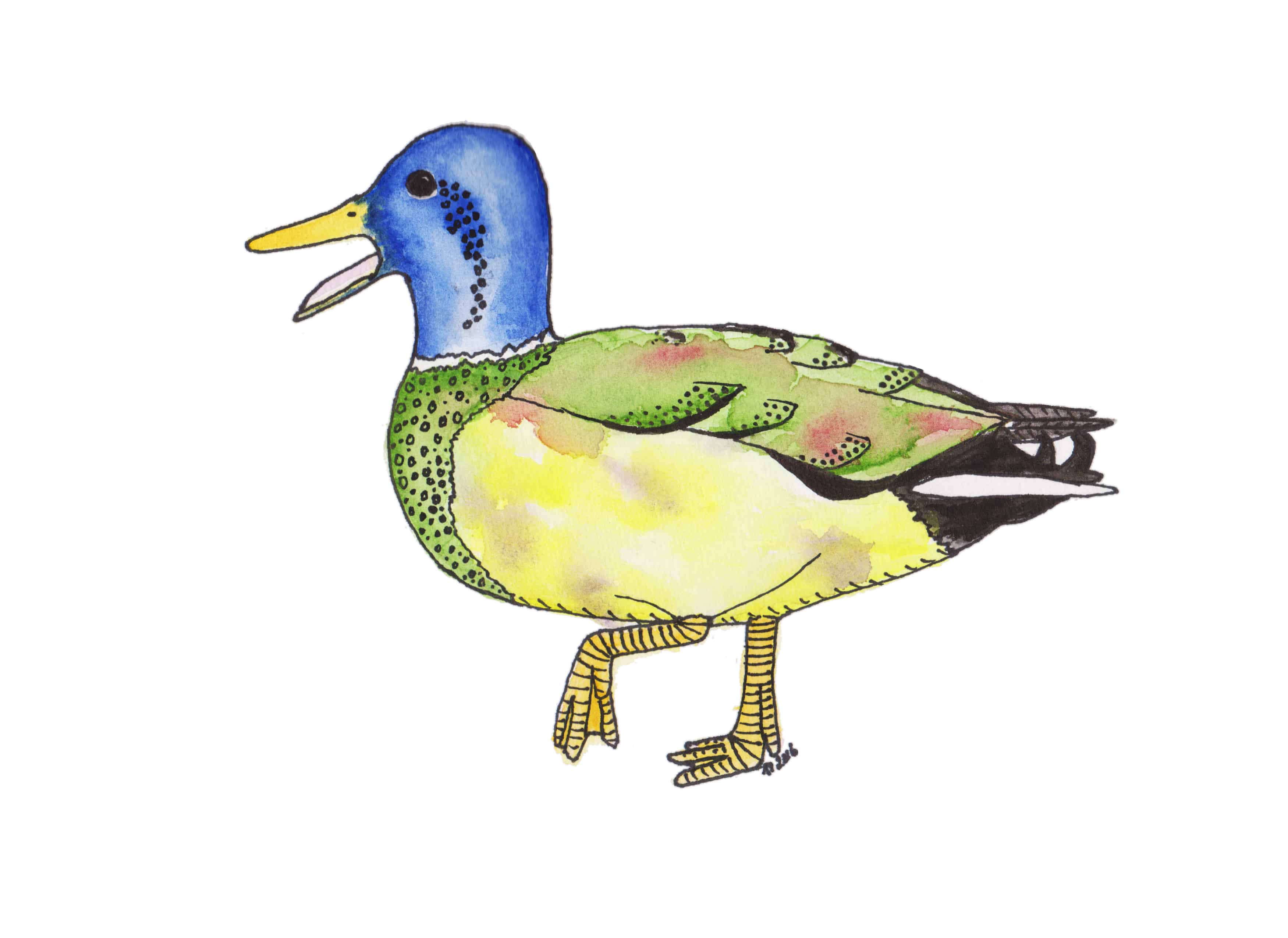 Strange Birds 11: Determined Mottled Mallard - scan - contrast