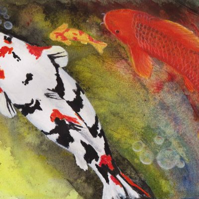 Playful koi fish swimming in a pond