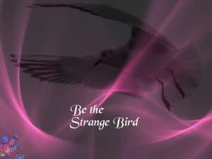 Be the Strange Bird - Android