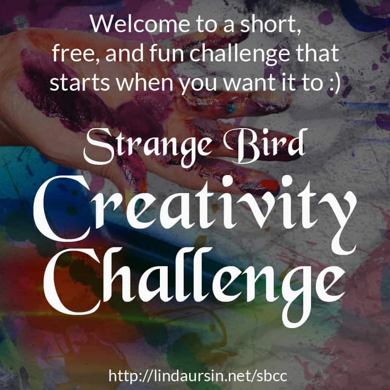 Strange Bird Creativity Challenge