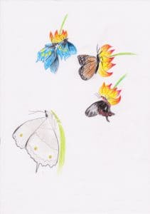 5 of Cups drawing of Butterflies