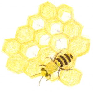 Ace of Swords drawing of a Bee on a honeycomb