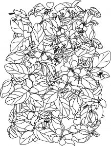 Basil coloring page