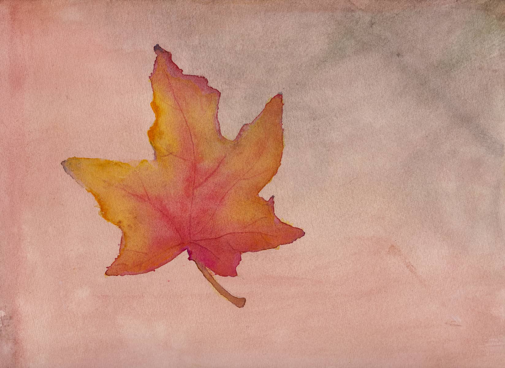 Maple Leaf in Autumn - Paintings and drawings of all kinds of plantlife. Primarily inspired by flora from Scandinavia, medicinal herbs, and the plants in my own garden