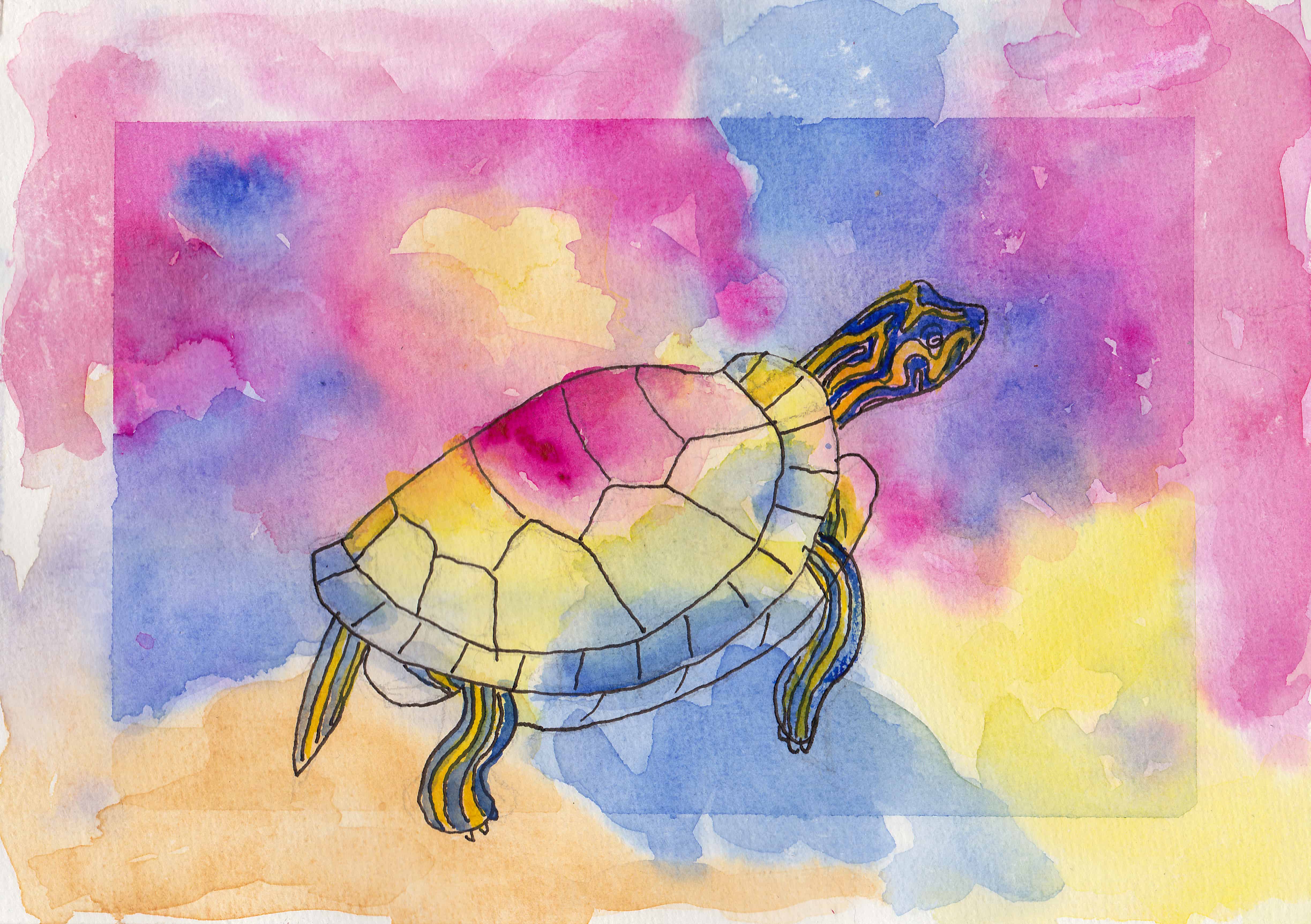 Painted Turtle - Watercolour painting by Linda Ursin