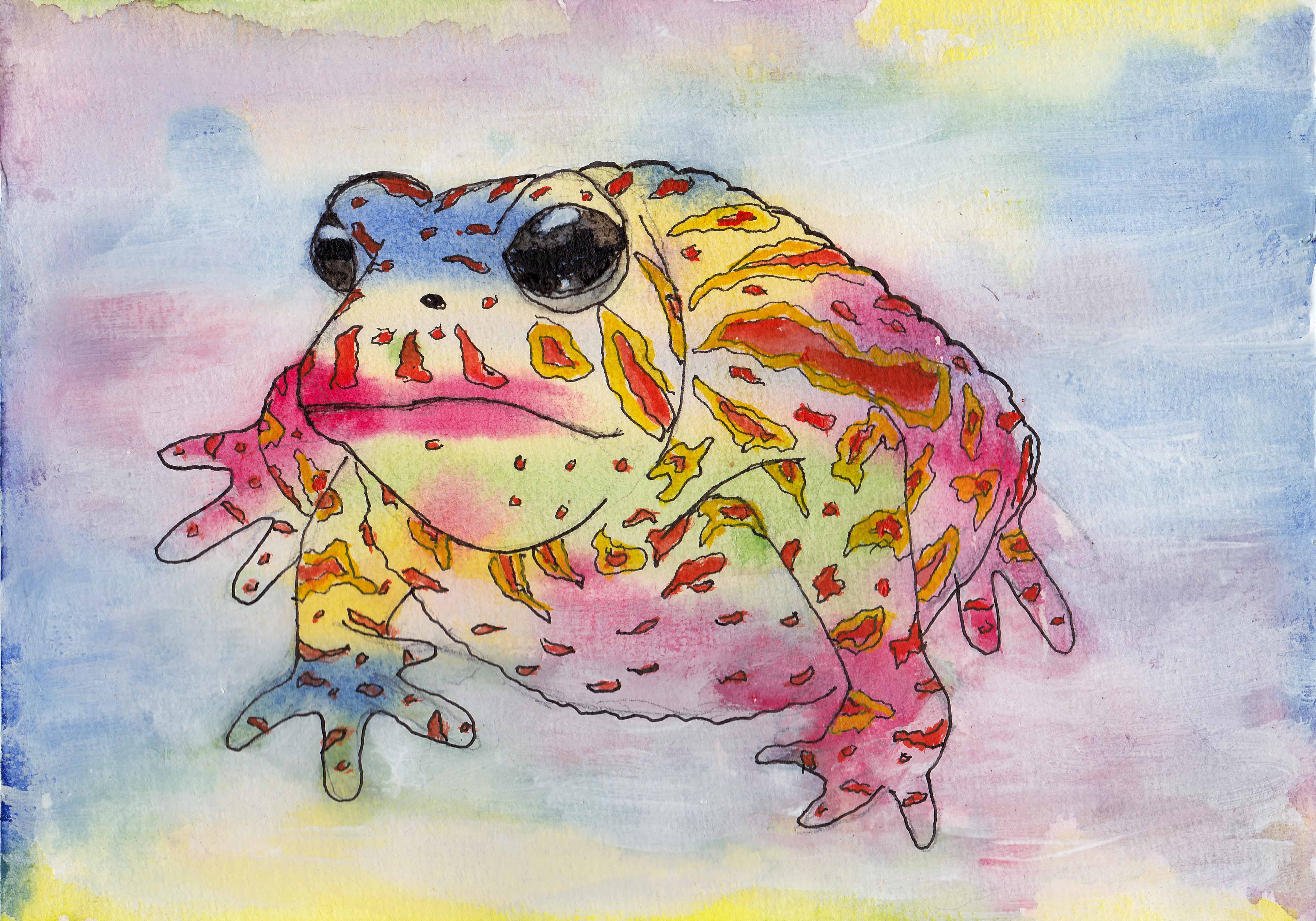 Do You Want More of These Bright and Colorful Amphibians?
