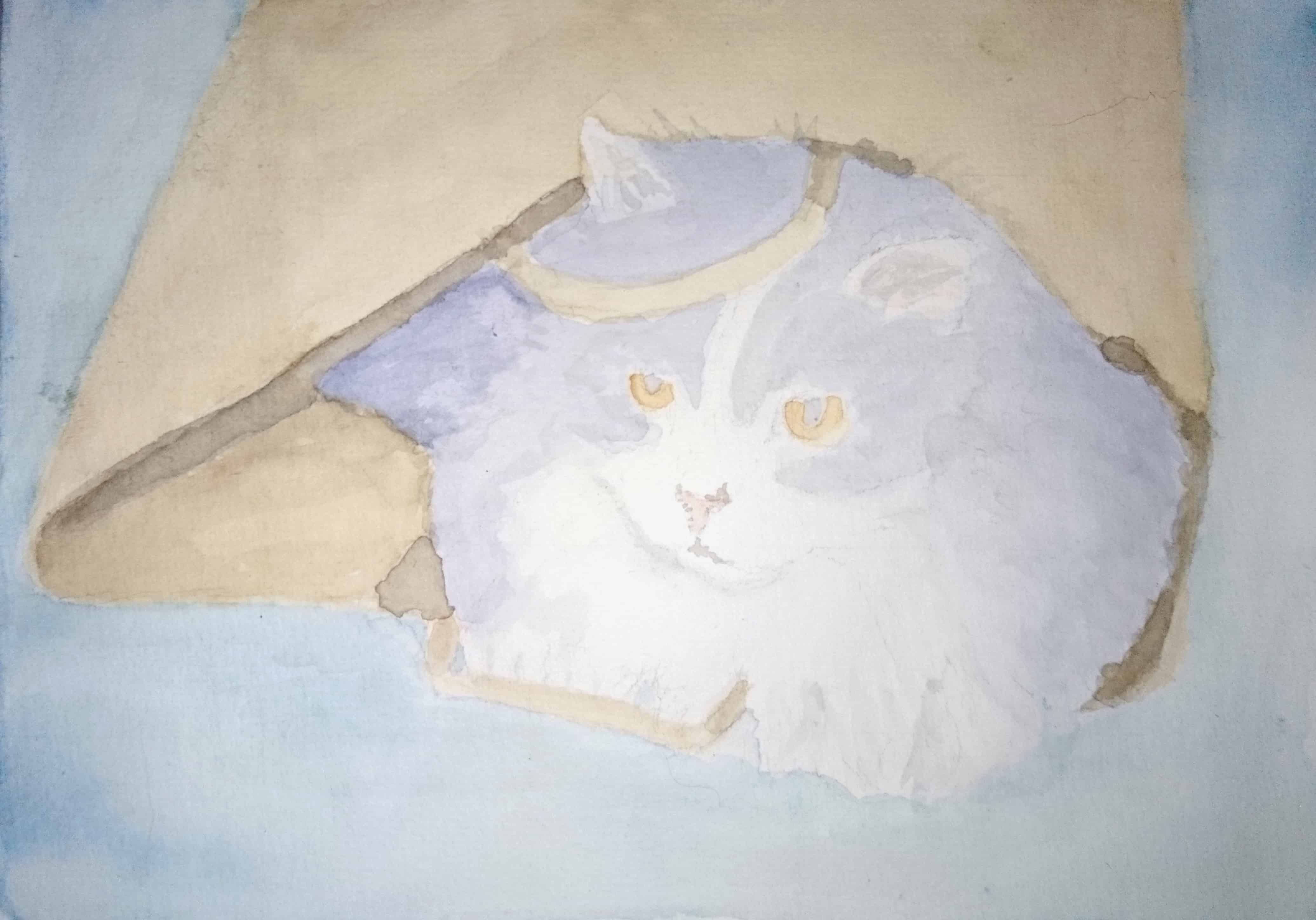 WIP the First Sketch for the ‘Weird Cats’ Series of Paintings