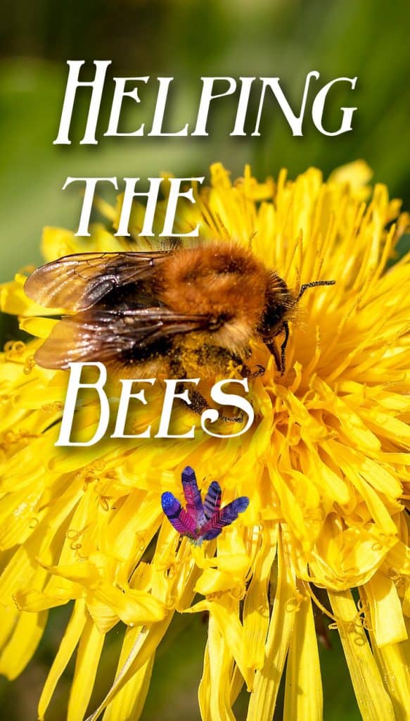 DIY Houses to Make It Easier for Bees to Survive