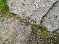 More Petroglyphs