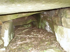 Inside the grave