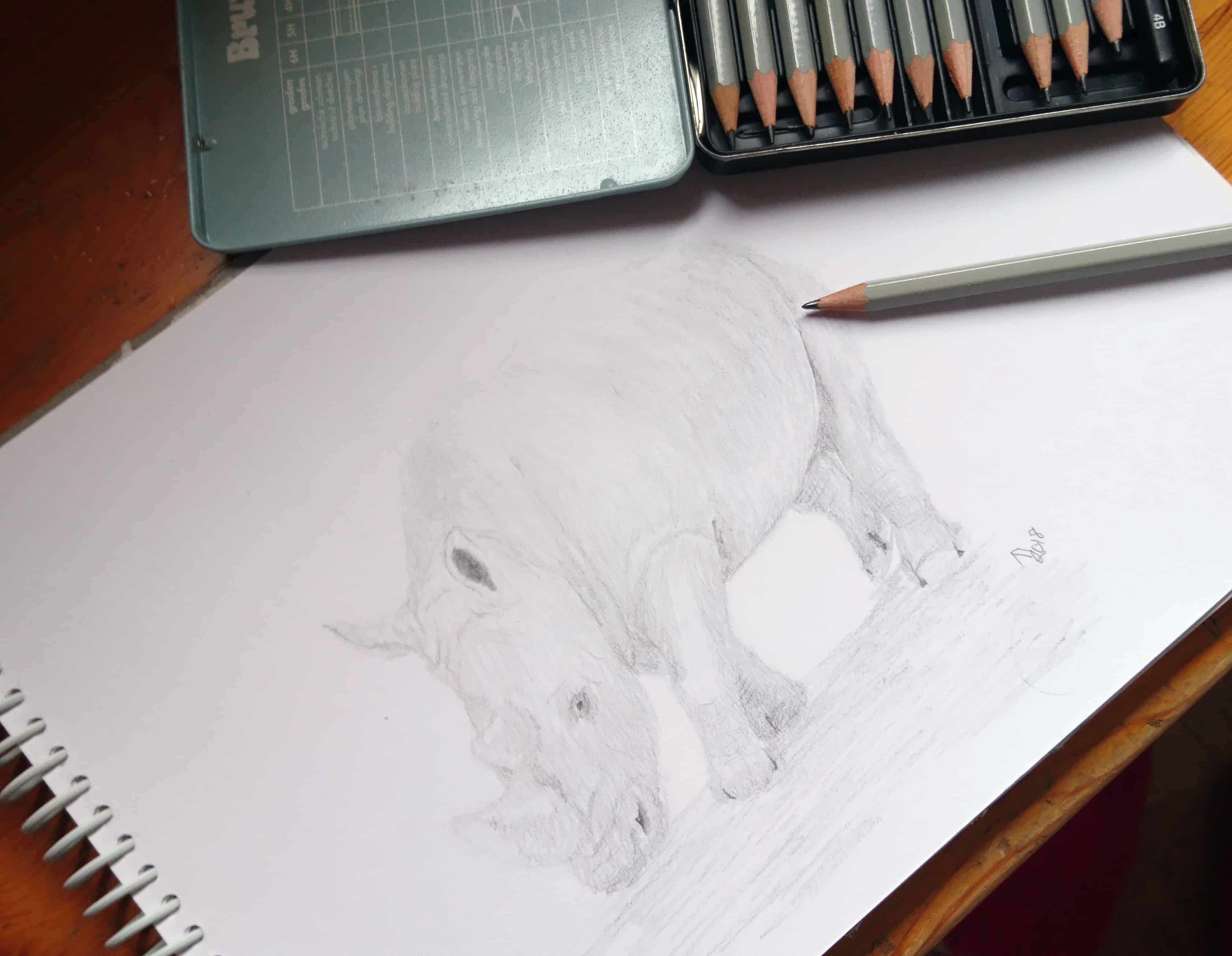 A Sketch as a Way to Celebrate World Rhino Day