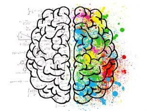 the creative brain