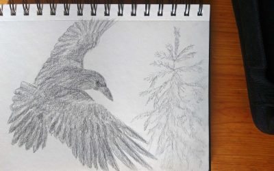 Work in progress (well painting series in progress) – a sketch of a Raven