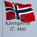 Gratulerer med dagen! Happy Constitution Day Norway!
