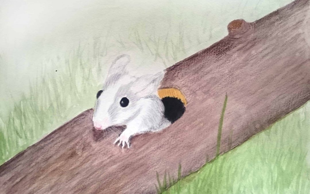 Mouse in a Log –  A watercolour and colored pencil painting by Linda Ursin