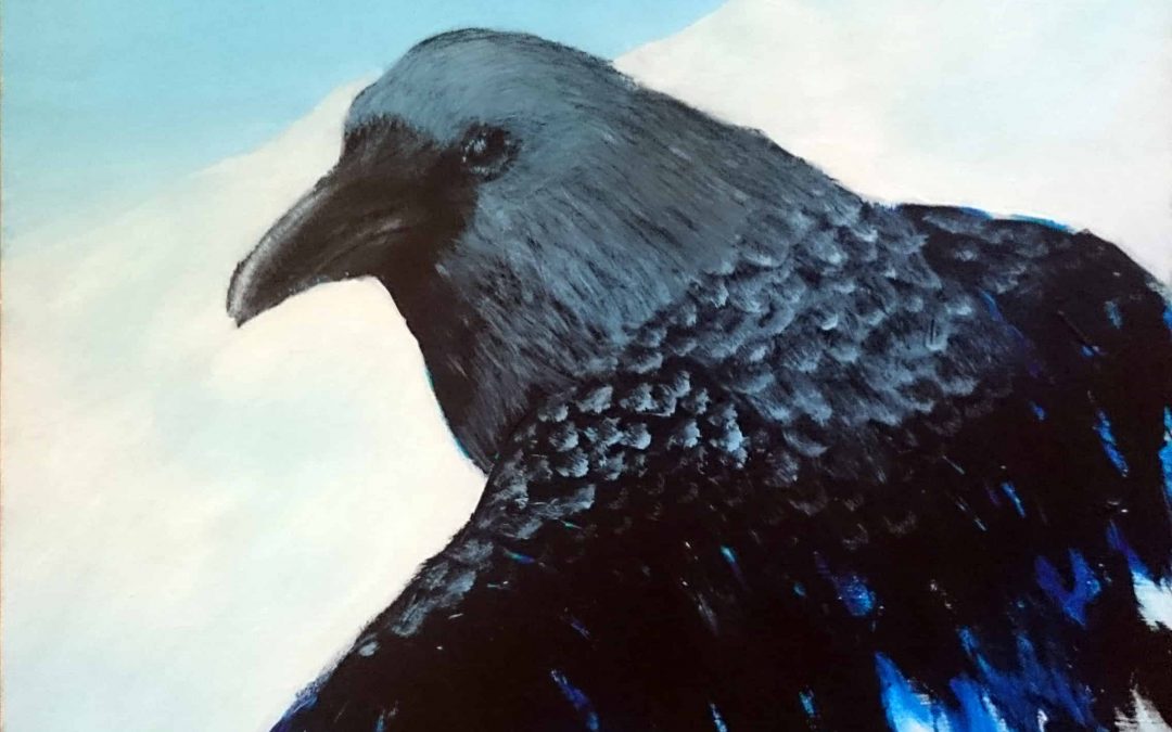 Raven Emerging, one of Linda Ursin’s Bird drawings. wildlife paintings and Scandinavian wildlife paintings