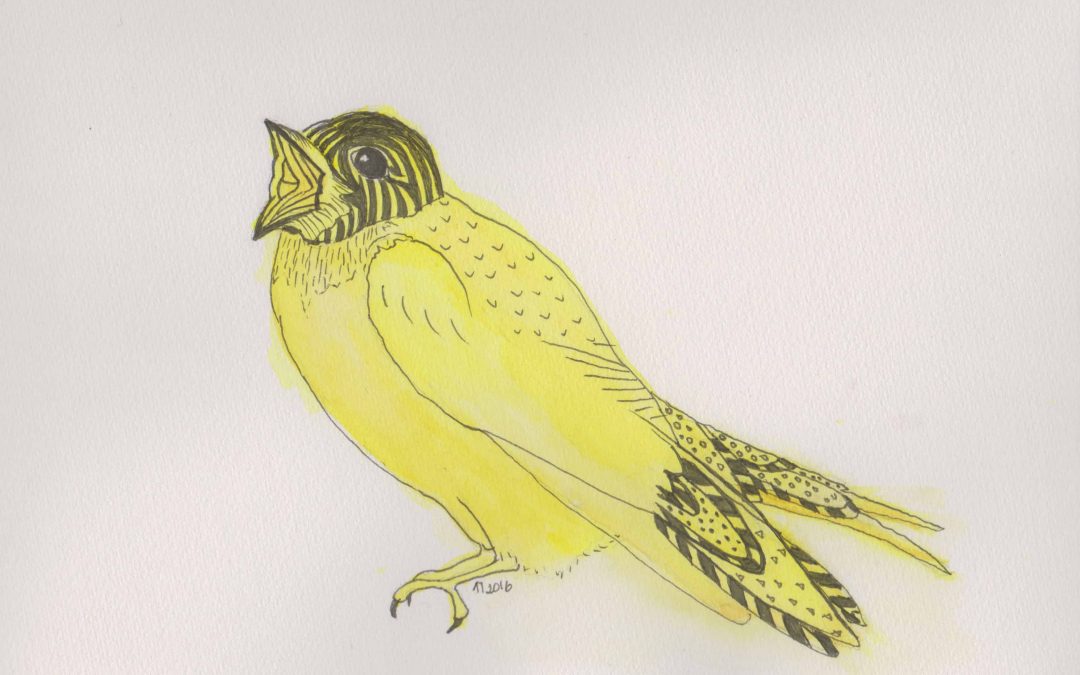 Strange Birds 6 Yellow Soprano Swallow