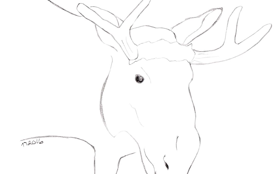 Moose – Pencil sketch by Linda Ursin